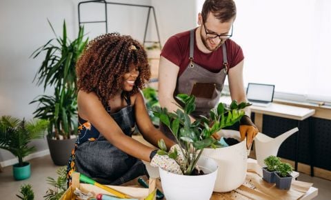 Dig out of Debt Workshop
