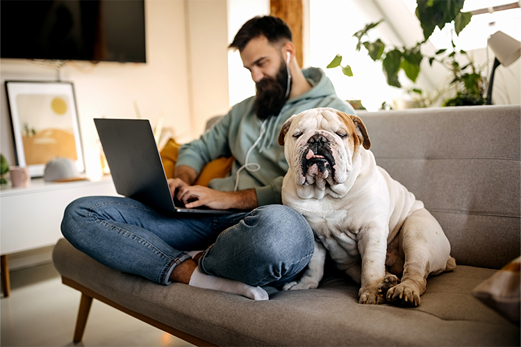 New Year, New Budget Webinar